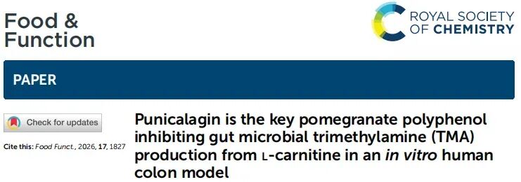 l carnitine 怎么 吃 L-Carnitine Citrus Flavour main image 1